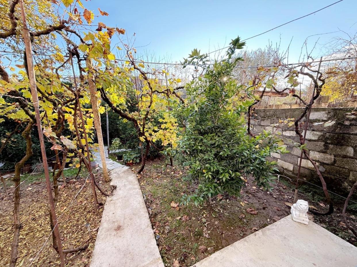 Guesthouse Albi Berat Kültér fotó